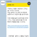 쉐도우필름 티스토리