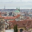 프라하의 봄 | 체코 프라하 맛집편(2) 녀석 프라하에서 꽤 멋진 점심 식사를 했나 본데 | Zubang, Matilda, KOLEKTOR