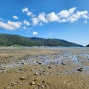 앵강 약초 공원 이미지