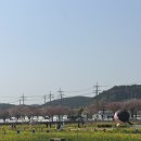 전진카세차장 | 삼척 맹방 유채꽃축제 후기, 아이랑 가기 좋은 봄 여행지🌼