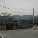 박란 카카오 검색결과