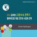 [동향보고서] 2024 글로벌 (그린)수소 전주기 밸류체인별 개발 전모와 사업화 전략 이미지