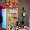 도토리노래연습장 이미지