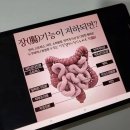 이너뷰티코리아