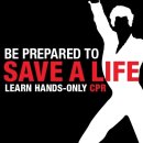 분당-100 이미지