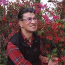 나비사랑 이미지