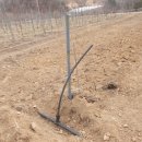 천천농장 이미지