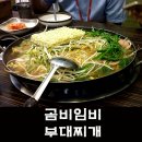 곰비임비 이미지