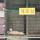 무등골장어구이 이미지