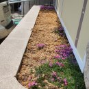 연세에덴요양병원 이미지