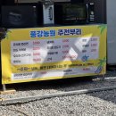세평초 | 밀양 얼음골 풍강농원 계곡 평상 내돈내산 후기｜8월 초 물놀이 다녀왔어요