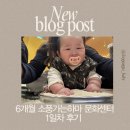 소풍오는 집 | 소풍가는하마 문화센터 첫수업 후기｜6개월 아기 첫 문화센터 체험