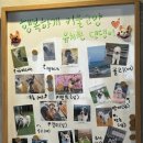 행복하개키울고양 이미지