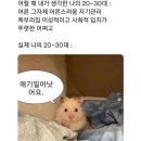 #5_개강, 중간고사 그리고 기말고사의 아내