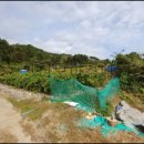 신명보건진료소 이미지