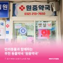 원중약국 네이버블로그