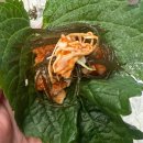 만포장횟집 | [부산 기장 맛집] 아나고 회가 맛있는 기장 만포장 횟집 내돈내산