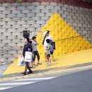 옐로카펫 이미지