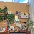 지동천 | 신리천 애견카페 [CASSIA 카시아 별관], [ SUMMON HOUSE 써먼 하우스] 비교 탐방