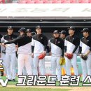 위위즈