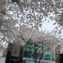 지에스25(GS25) 신노량진점 이미지