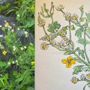 어반스케치 미술산책 이미지