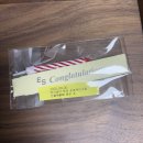 상우약국 | [10월 요약] 개뚱쭝한 행복 가득 생일달 요약!