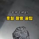 주안냉삼 이미지