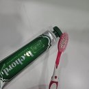비코드 | [제품후기] 비코드 미백 치약 사용 후기✨