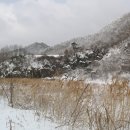 송하 이미지