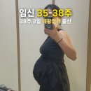 (주)진주랑 | 임신 35-38주 막달~제왕절개 출산 베이비뵨 아기띠 당근, 딥딥딥, 낙산가든