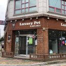 럭셔리 펫 이미지