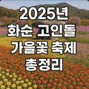 화순고인돌유적지(박씨제각) | ※ 2025년 화순 고인돌 가을꽃 축제 총정리