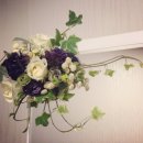퓨어블라썸(PureBlossom)