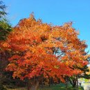 서산모텔 이미지