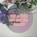 무강 | #여름맞이 체중관리 - 포만감과 식욕조절을 도와주는 ‘무강바이오 아르시아’ 후기