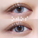 푸른숲안경원 | 마이피픈 오호스 OJOS 포그 FOGGE 링리스, 볼드링 먼슬리렌즈 한달용렌즈 추천