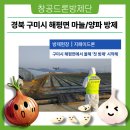 [창공드론방제단]경북 구미시 해평면 마늘 양파 항공 드론방제_지페이드론