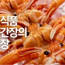 옵디자인 이미지