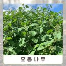티티산업