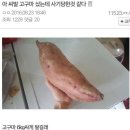 고구마PC 이미지