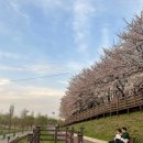 대명합동시장 | February to April