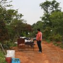 정기농장 이미지