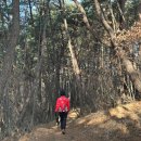 주약경로당 티스토리