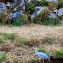 심곡천공원 이미지