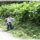 룸비니농장 이미지