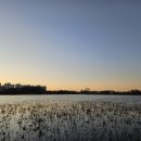 만성수변공원 이미지