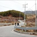 엄상궁 - 울주군 | 엄상궁