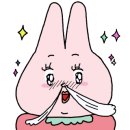 해초과메기양정점 이미지