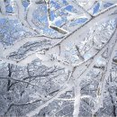 오씨네칼국수 이미지